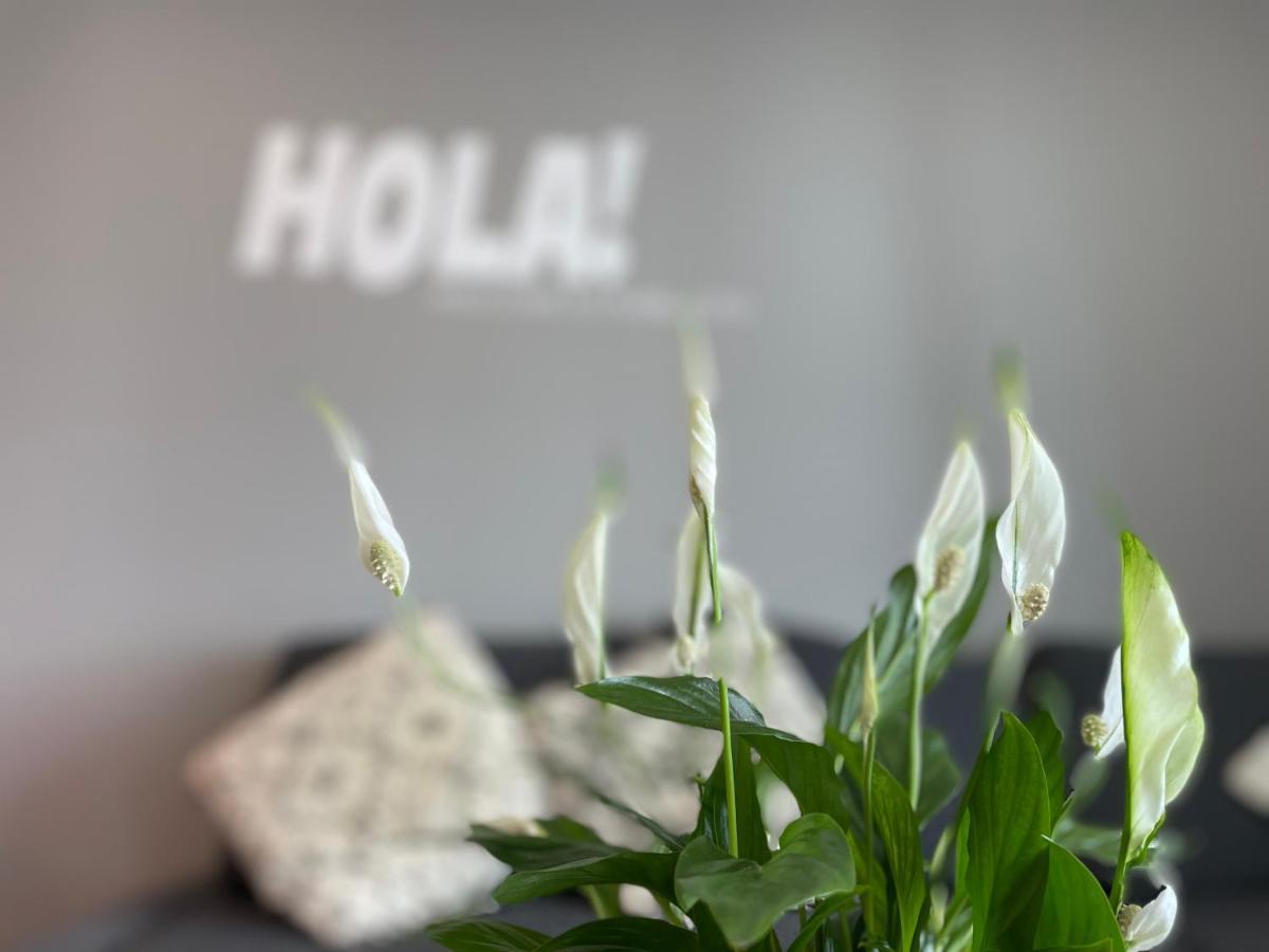 Overthesea - Pueblecito Apartment Roses Dış mekan fotoğraf